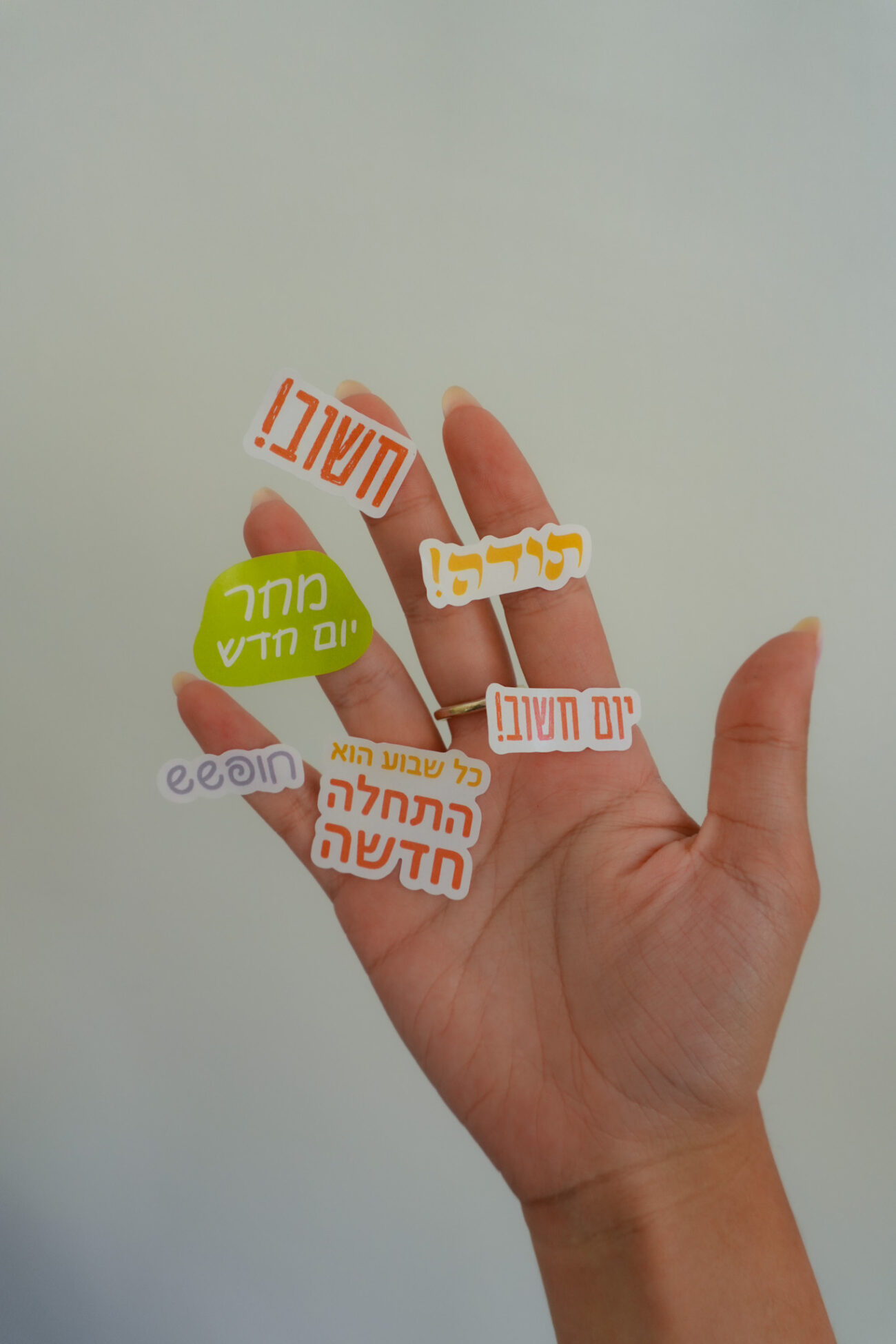 ⁦פלאנר יומי לתכנון צבעוני⁩ – תמונה ⁦7⁩